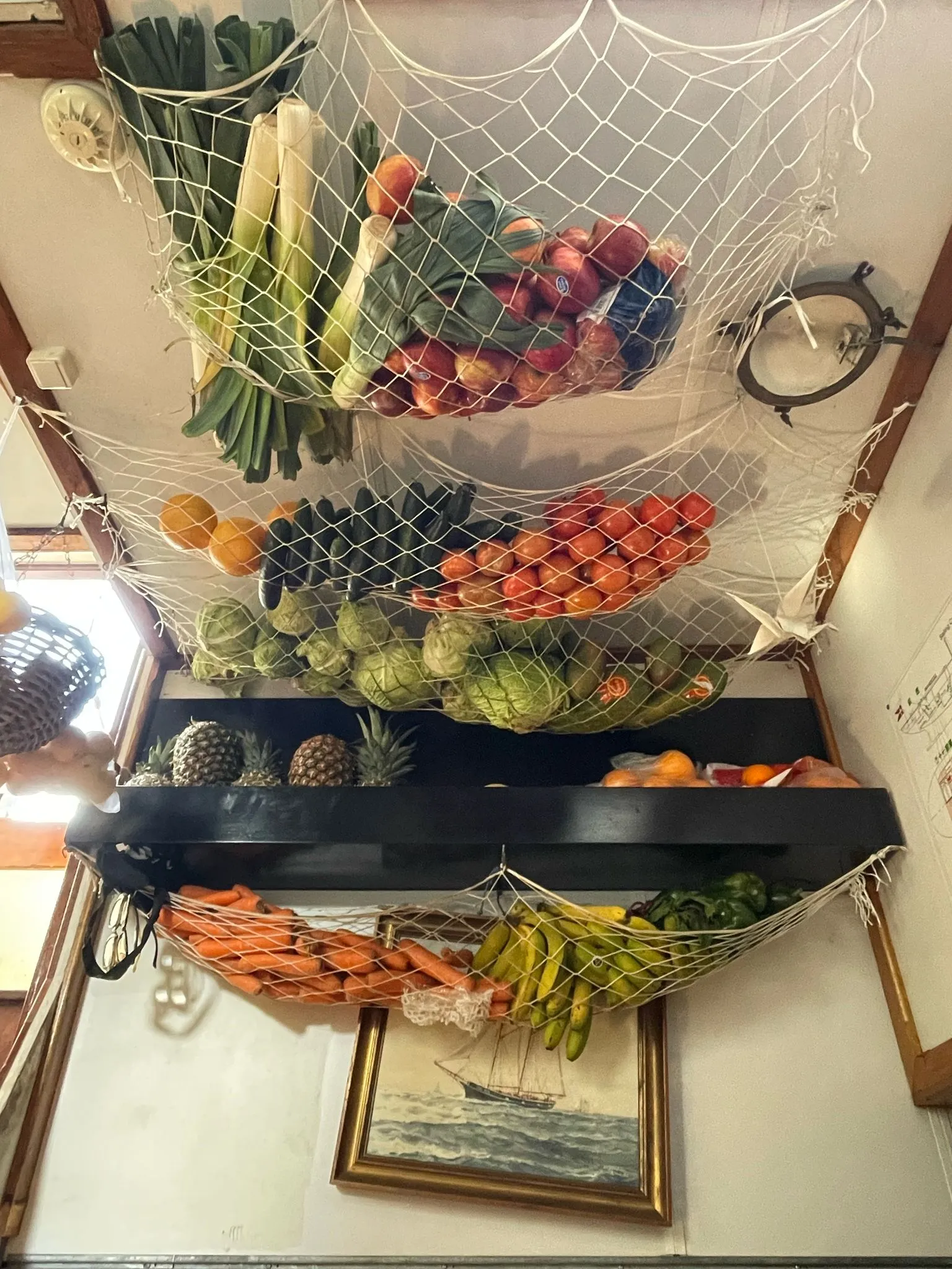 Fresh produce hanging in rope nets from the galley overhead, provisioning for the crossing